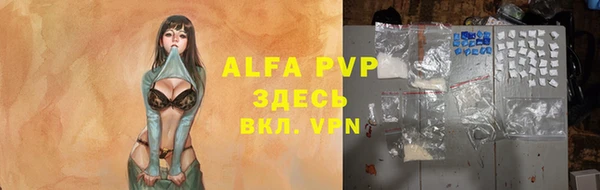 прущие крисы Балахна