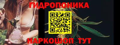 тгк Волжск