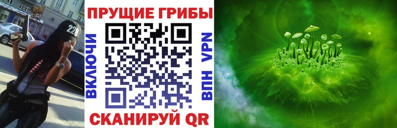 наркотики  Гай  Галлюциногенные грибы Psilocybe 