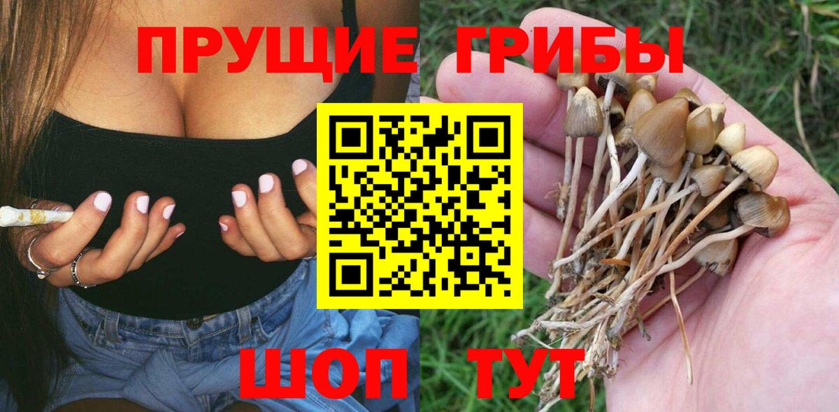 Галлюциногенные грибы Cubensis  Гай 