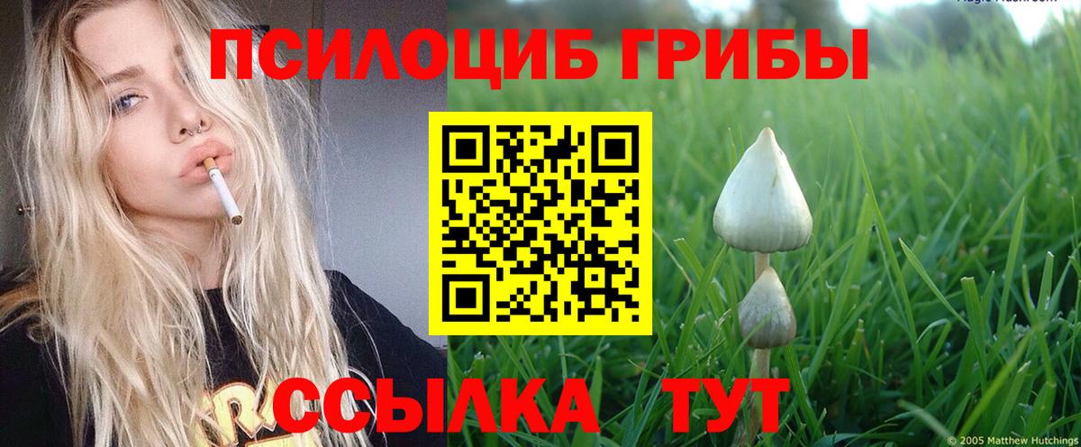 Галлюциногенные грибы ЛСД Гай